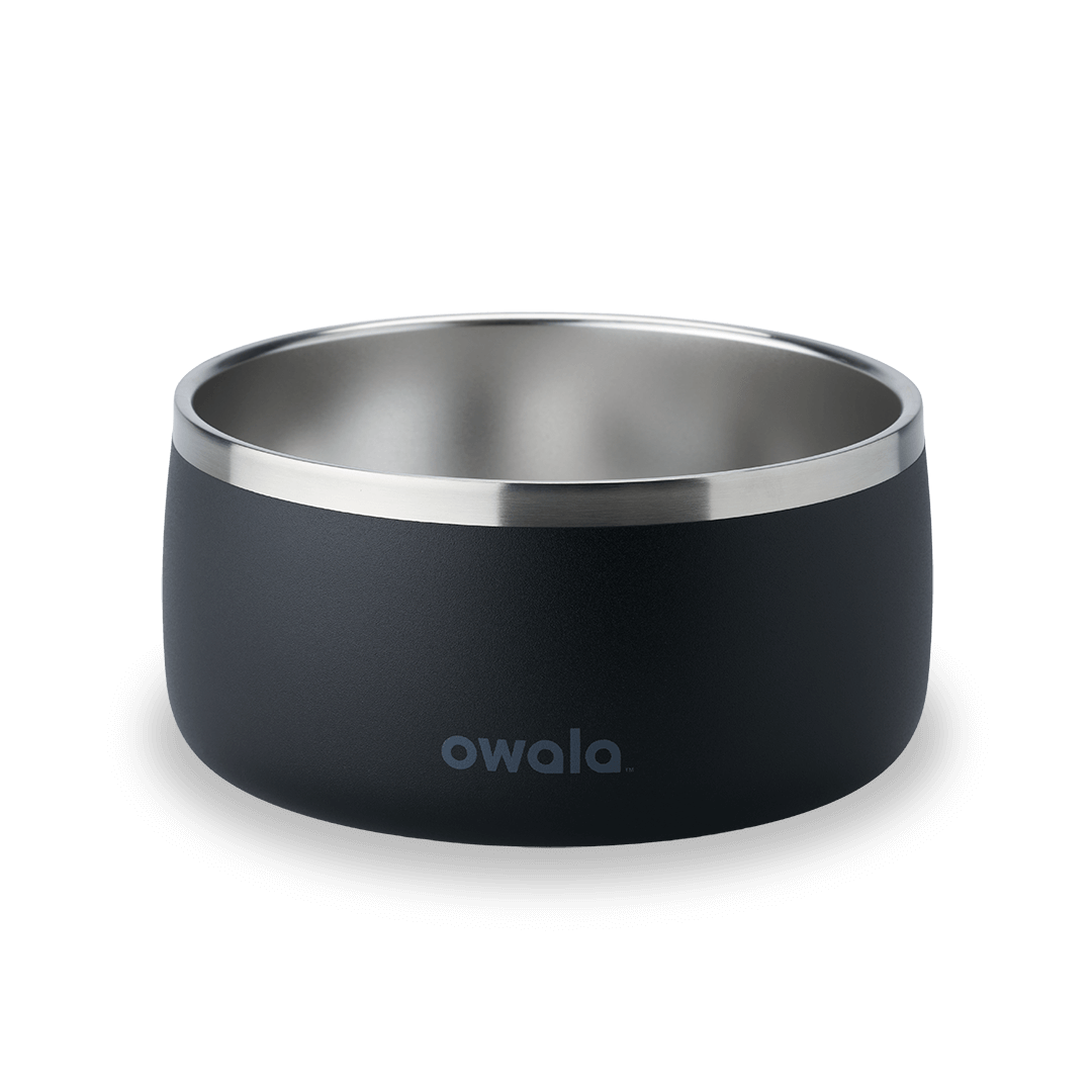 Pet Bowl JUVO3 RC8LFG