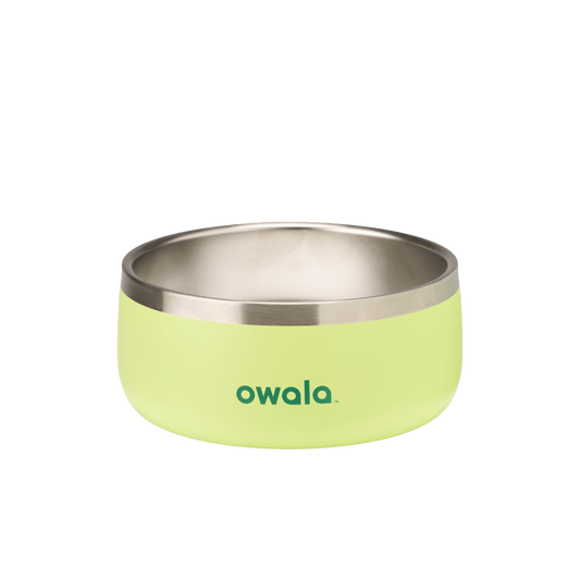 Pet Bowl JUVO3 RC8LFG