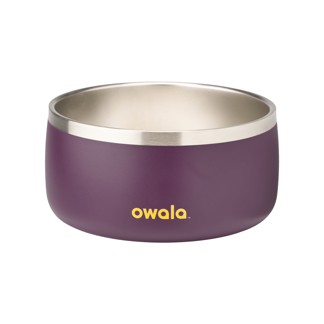 Pet Bowl JUVO3 RC8LFG