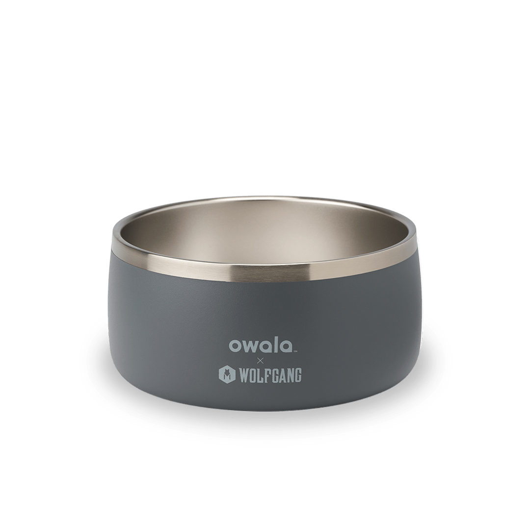 Pet Bowl JUVO3 RC8LFG