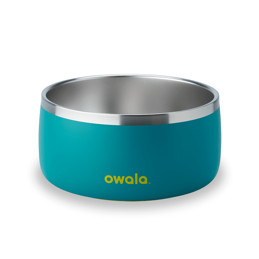 Pet Bowl JUVO3 RC8LFG