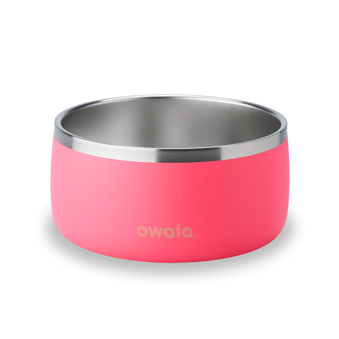 Pet Bowl JUVO3 RC8LFG