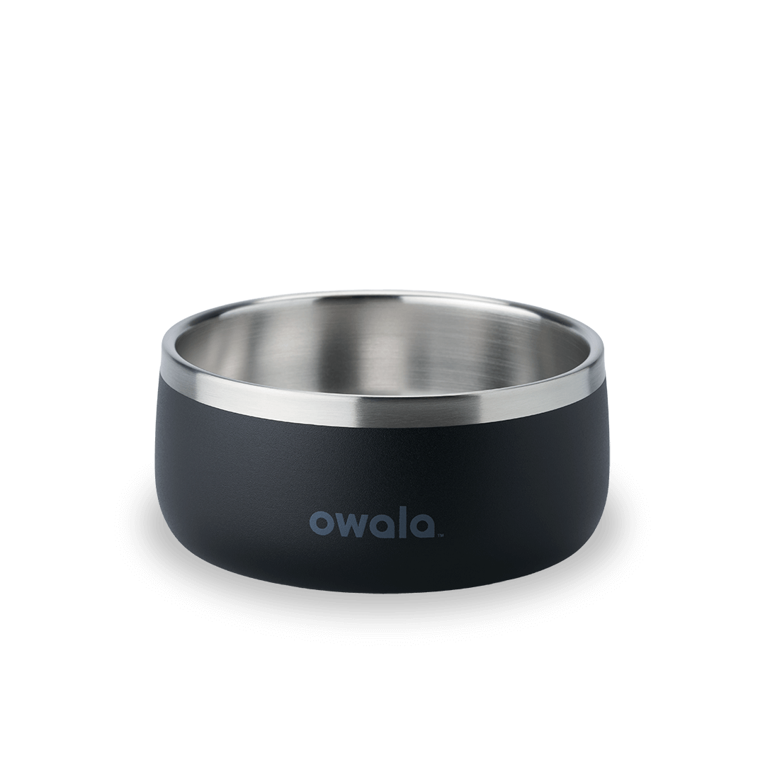 Pet Bowl JUVO3 RC8LFG