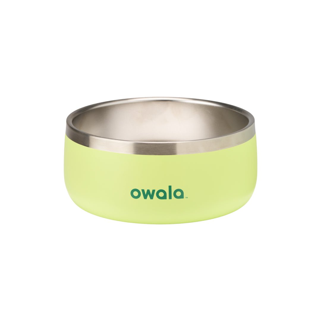 Pet Bowl JUVO3 RC8LFG