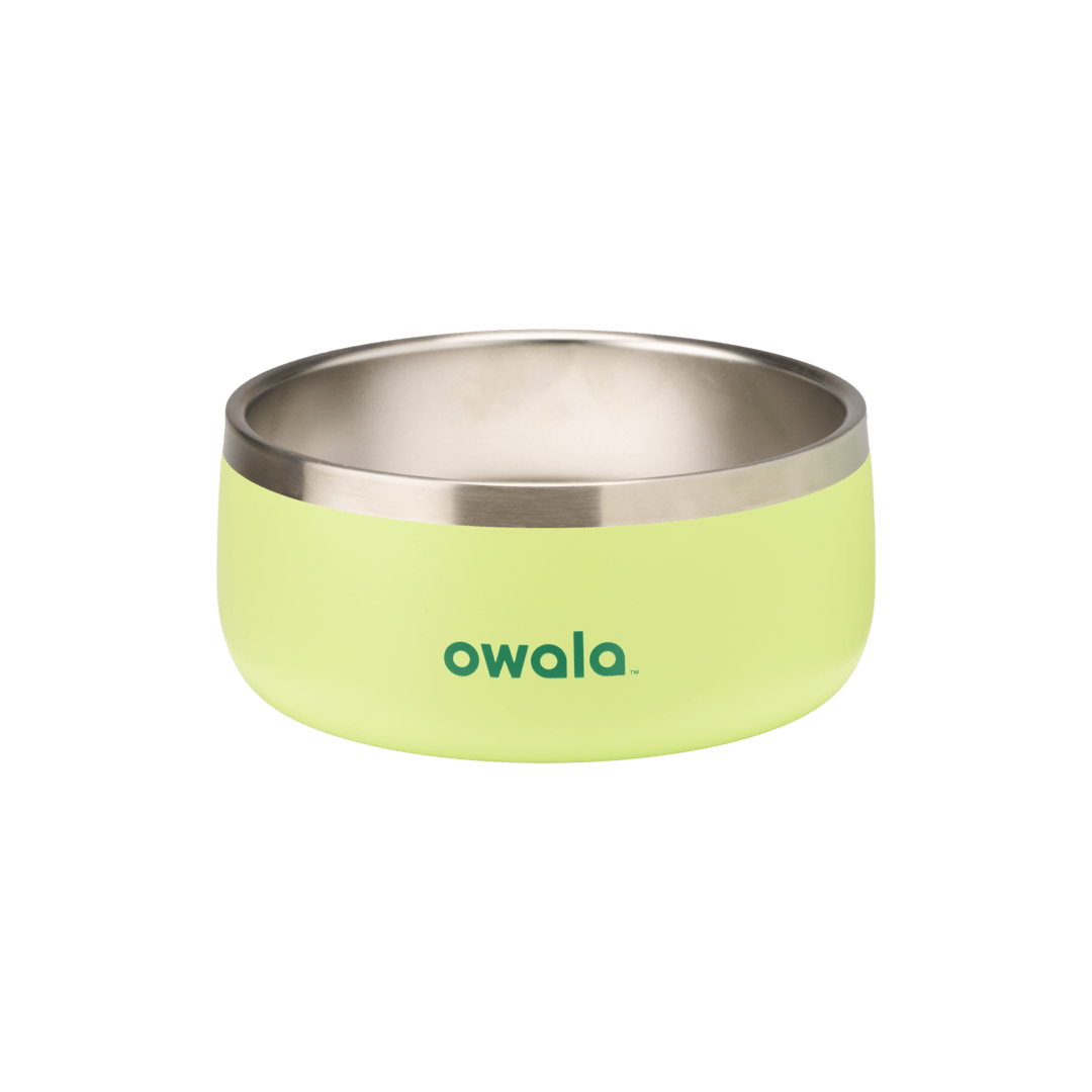 Pet Bowl JUVO3 RC8LFG