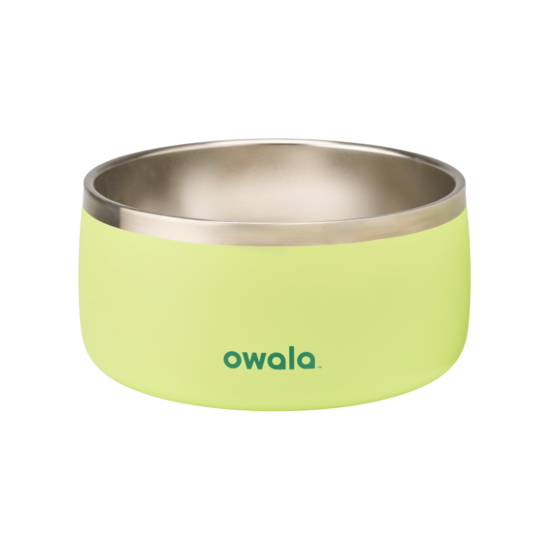 Pet Bowl JUVO3 RC8LFG