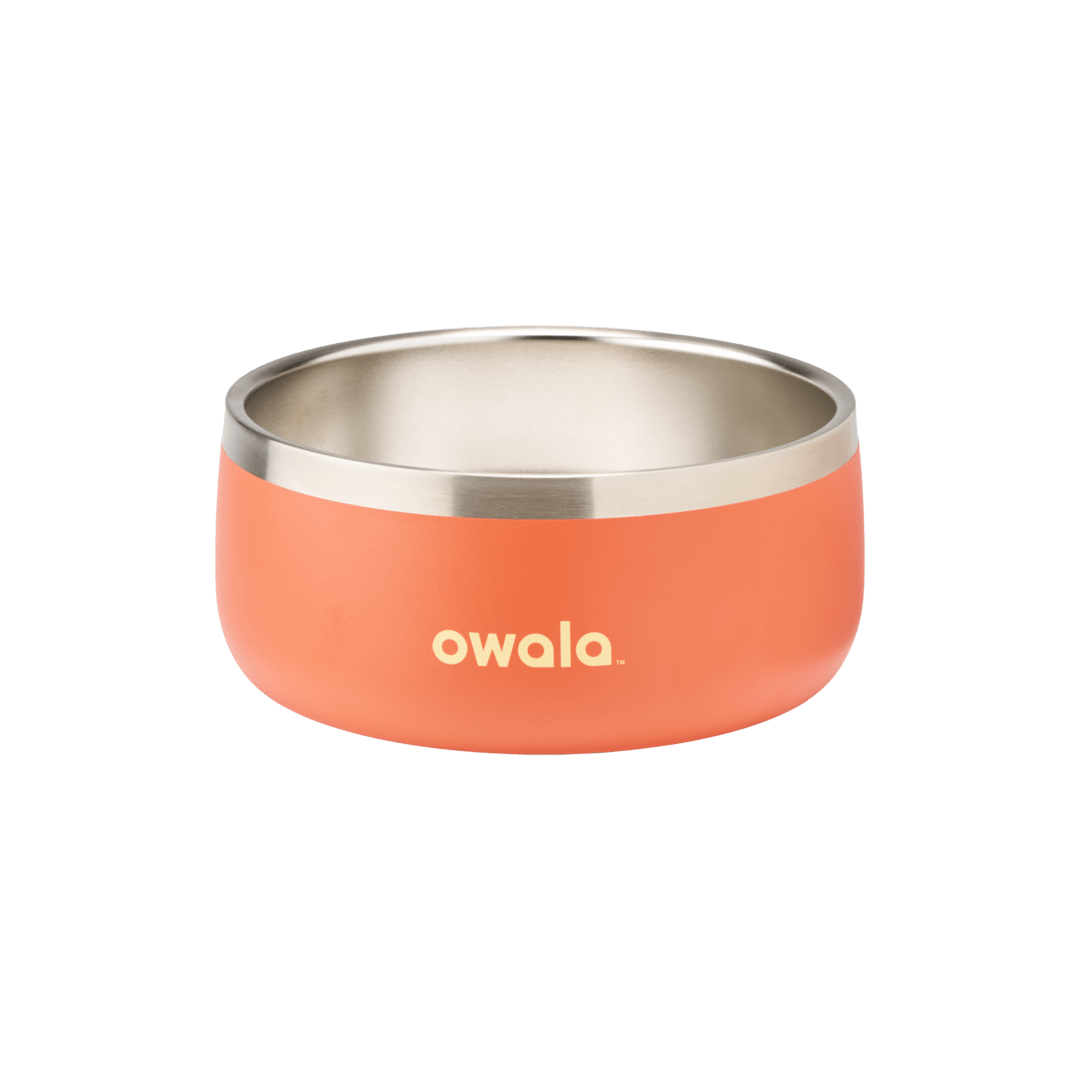 Pet Bowl JUVO3 RC8LFG