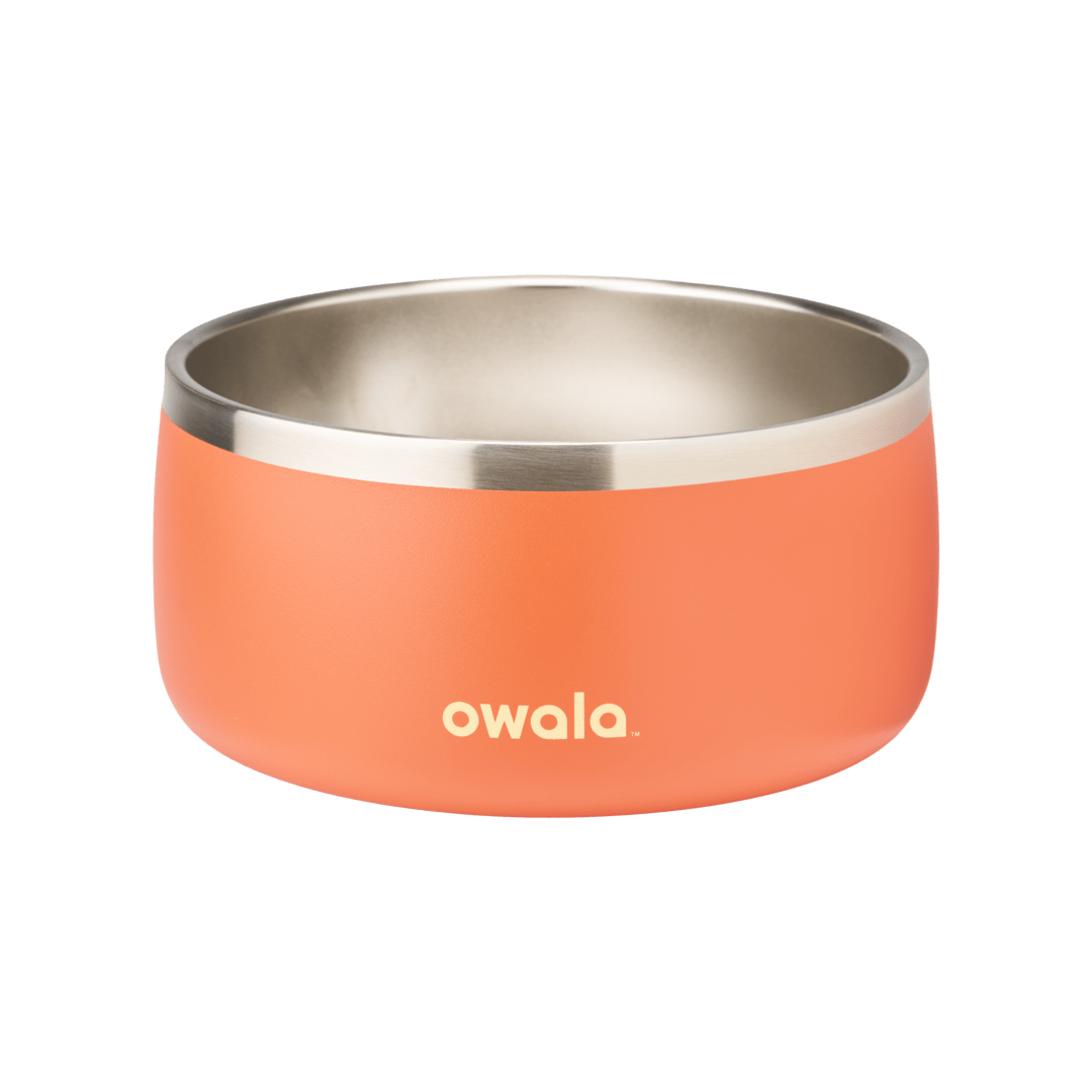 Pet Bowl JUVO3 RC8LFG