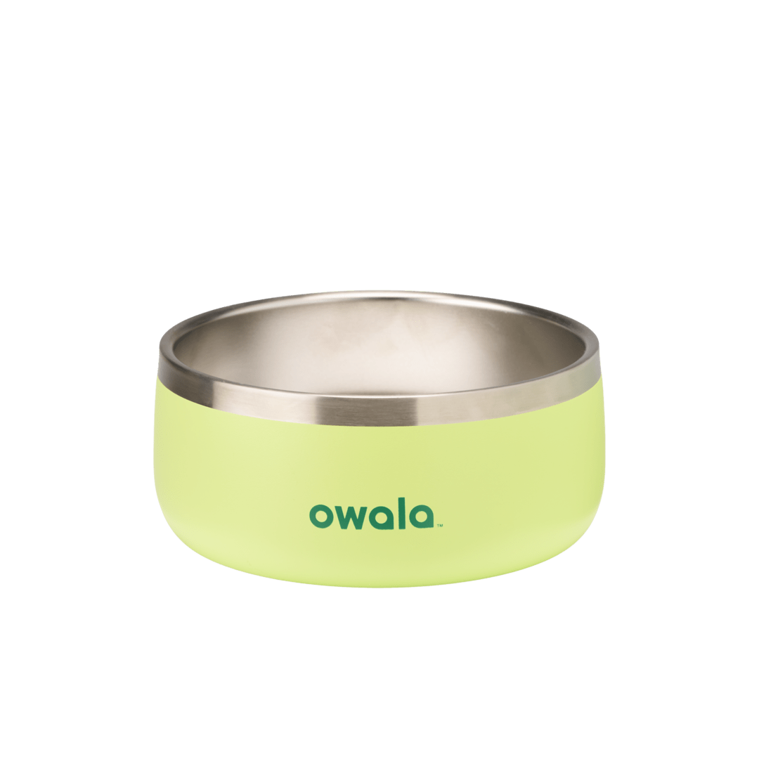 Pet Bowl JUVO3 RC8LFG