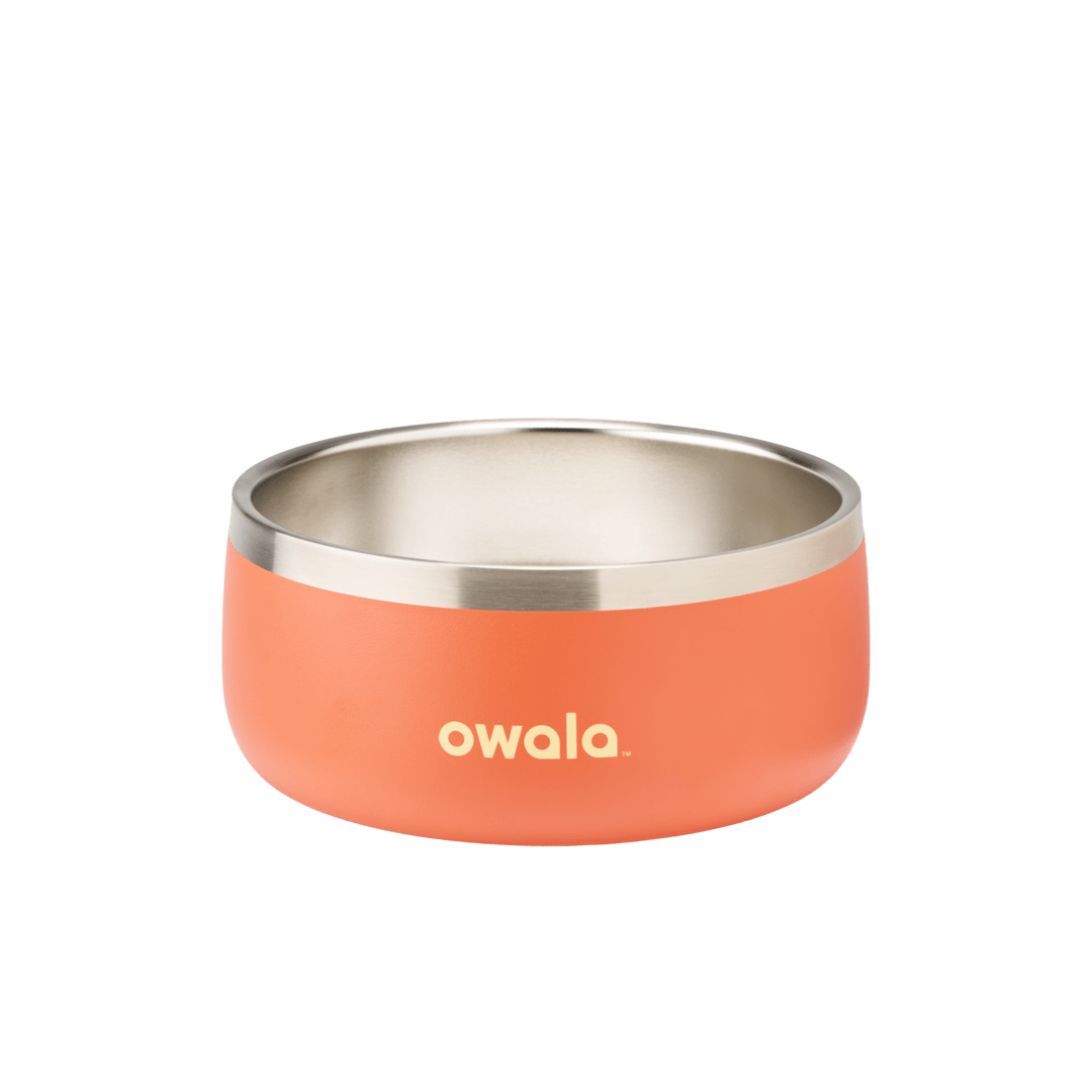 Pet Bowl JUVO3 RC8LFG
