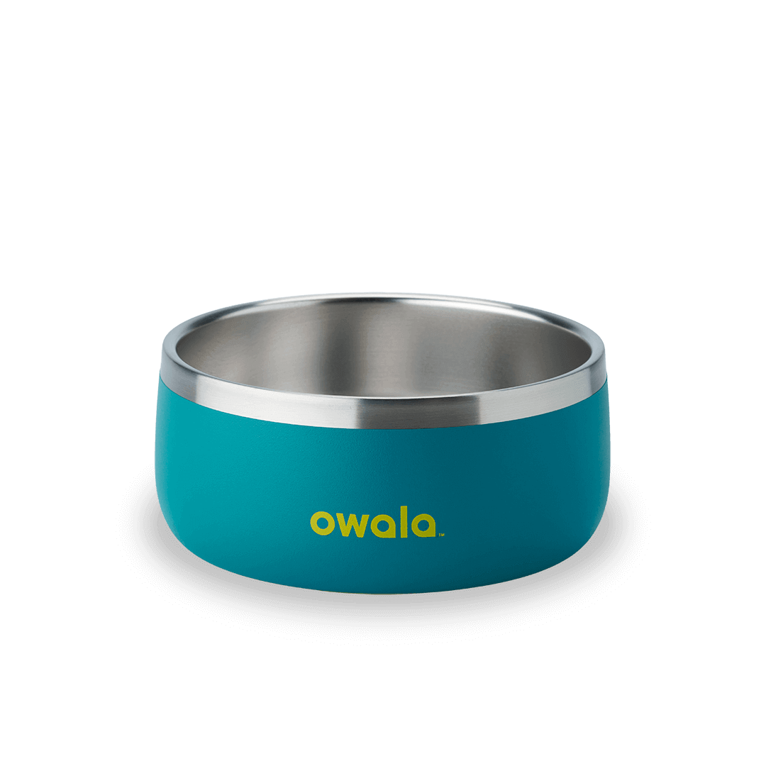 Pet Bowl JUVO3 RC8LFG