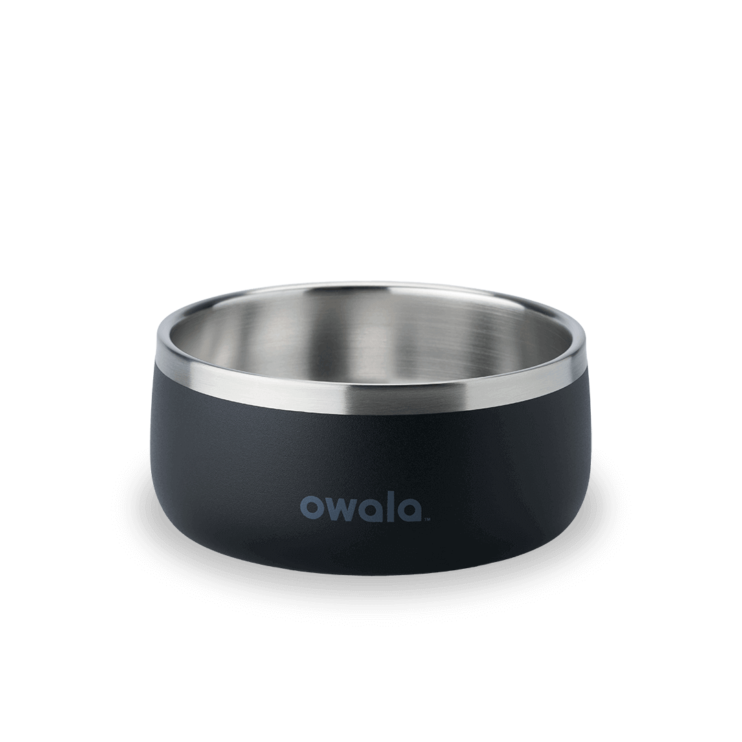 Pet Bowl JUVO3 RC8LFG