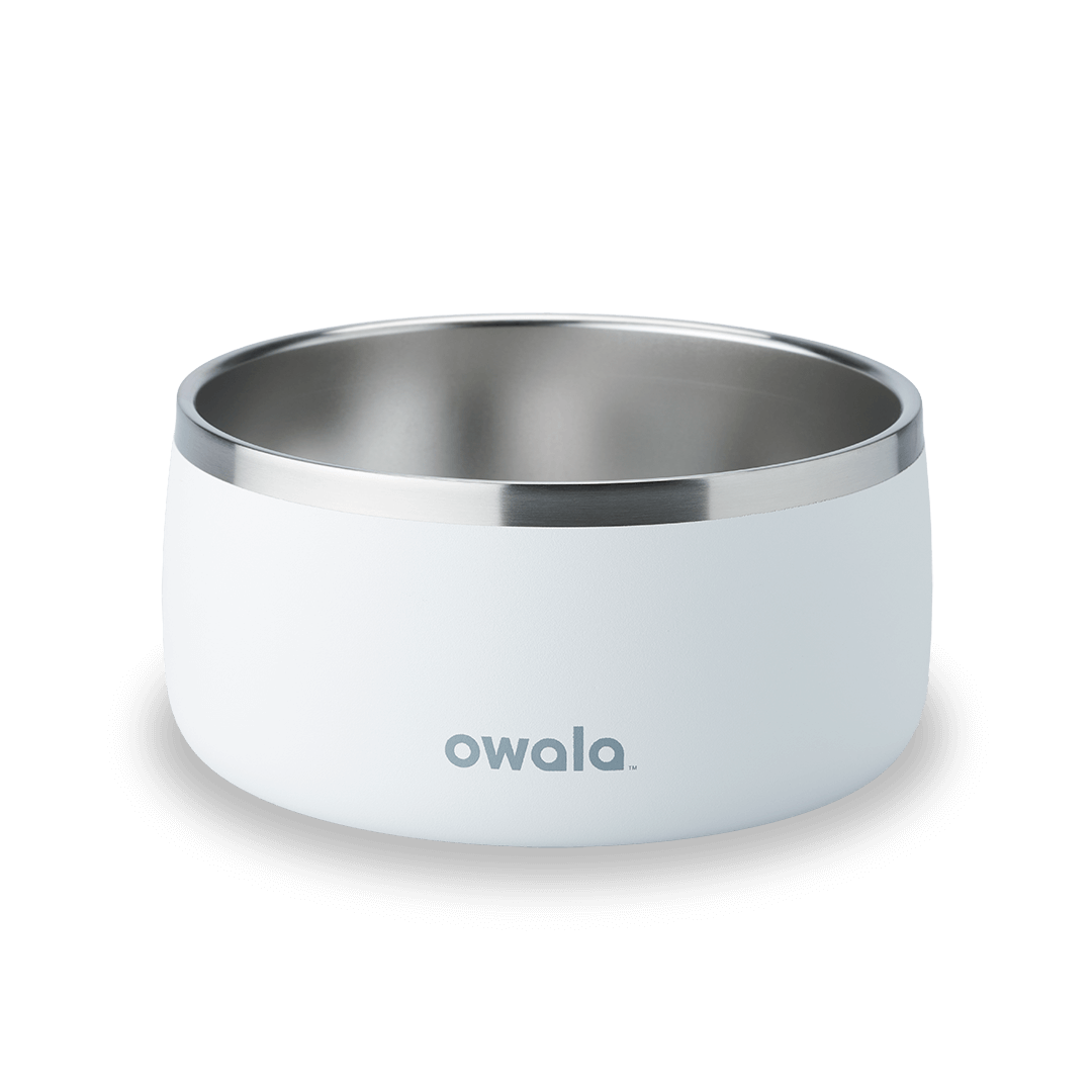 Pet Bowl JUVO3 RC8LFG