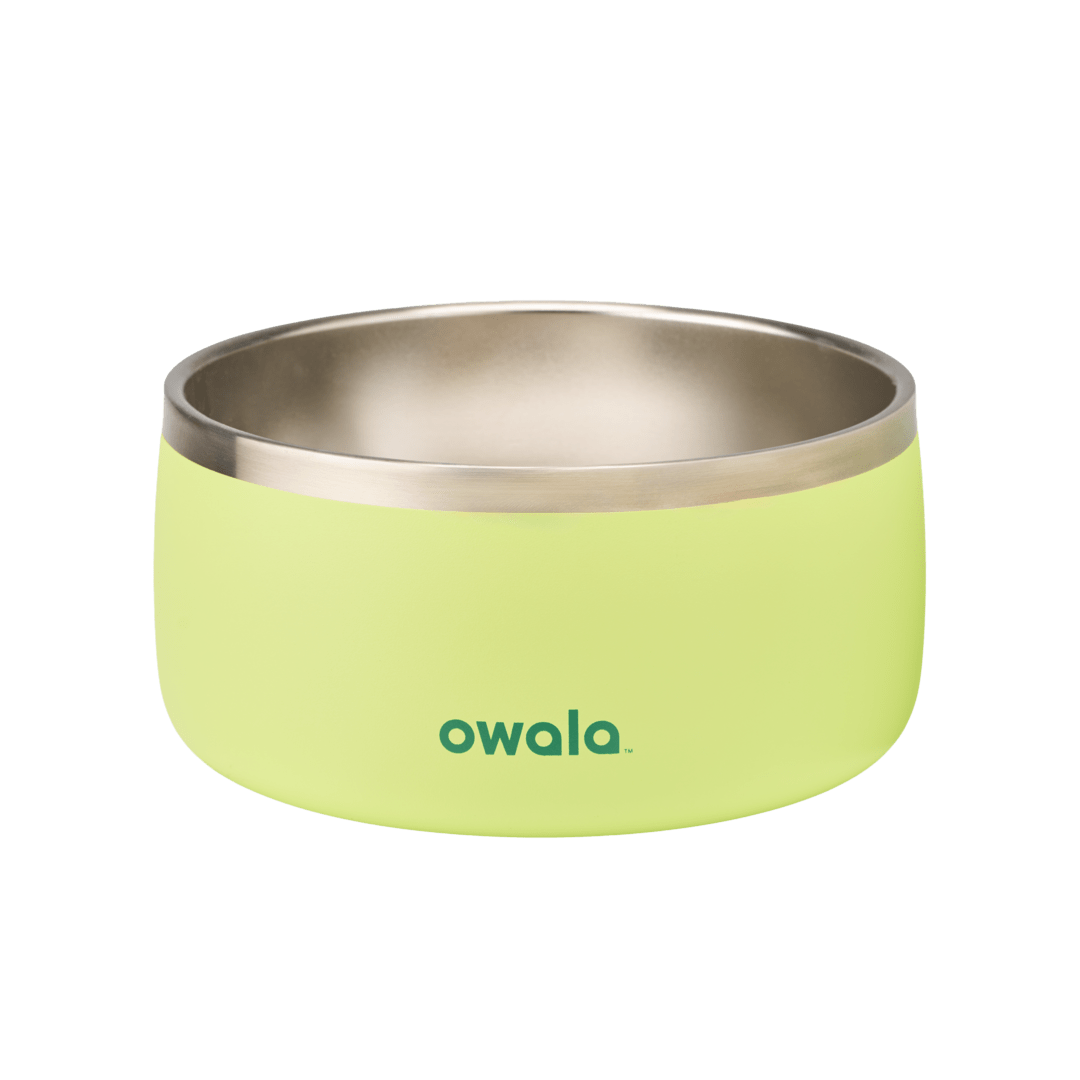 Pet Bowl JUVO3 RC8LFG