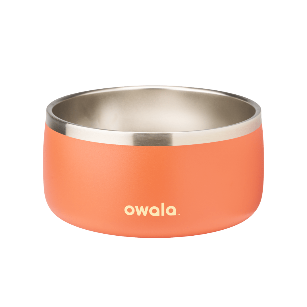 Pet Bowl JUVO3 RC8LFG