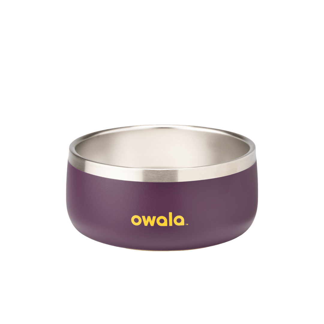 Pet Bowl JUVO3 RC8LFG