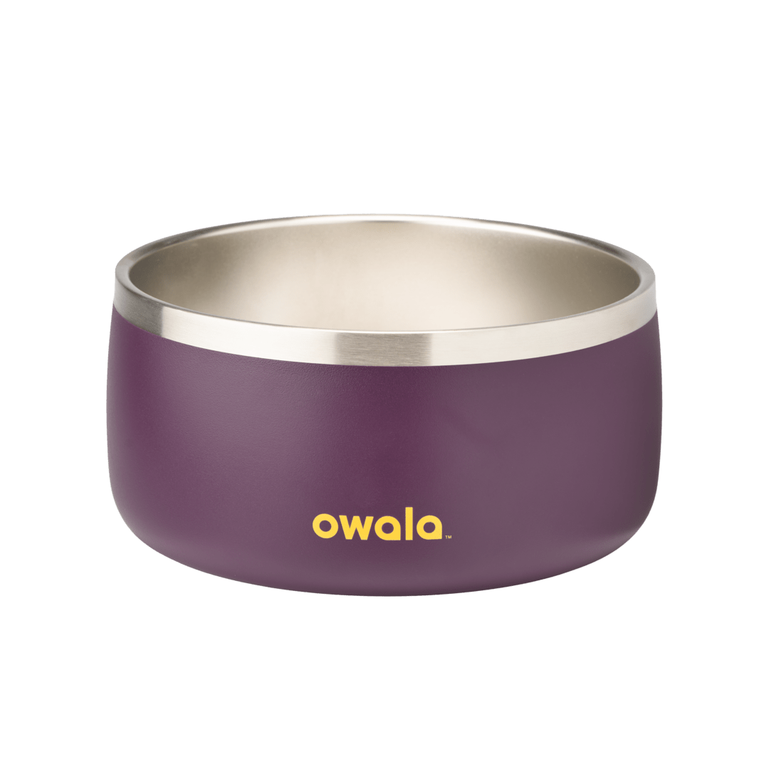 Pet Bowl JUVO3 RC8LFG