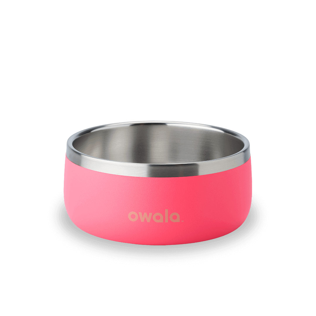 Pet Bowl JUVO3 RC8LFG