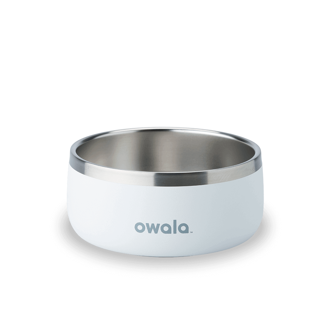 Pet Bowl JUVO3 RC8LFG